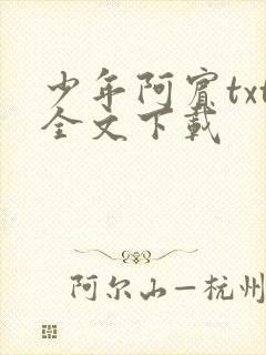 少年阿宾txt全文下载