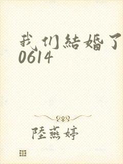 我们结婚了130614