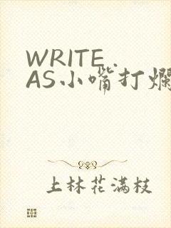 WRITE .AS小嘴打烂