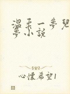 温柔一梦儿媳林梦小说