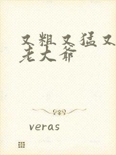 又粗又猛又大爽老大爷