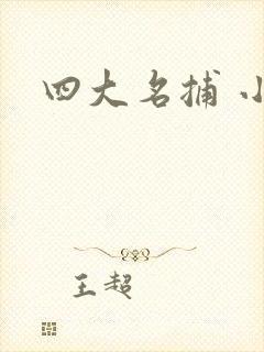 四大名捕 小说