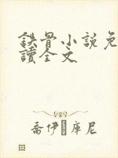 铁骨小说免费阅读全文