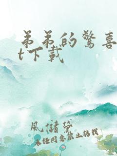 弟弟的惊喜txt下载