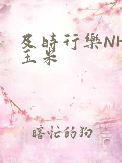 及时行乐NHP玉米