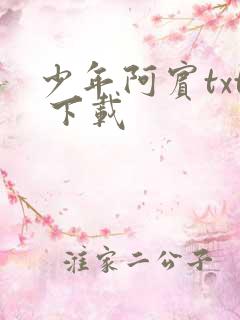 少年阿宾txt 下载