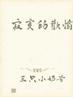 寂寞的欢愉正版