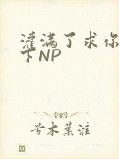 灌满了求你们停下NP