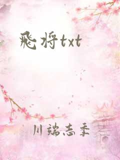 飞将txt