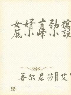 女婿有劲枪枪到底小峰小说