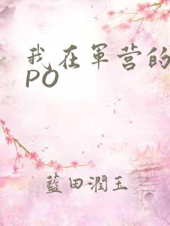 我在军营的日子PO