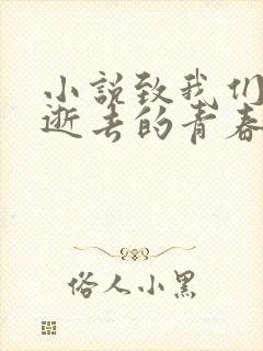 小说致我们终将逝去的青春