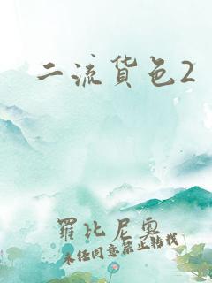 二流货色2