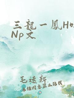 三龙一凤H啪肉Np文