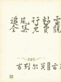 追风行动电视剧全集免费观看