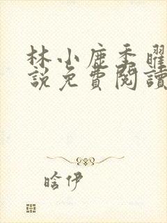 林小鹿季曜珉小说免费阅读