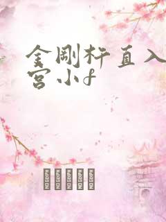 金刚杵直入莲花宫小f