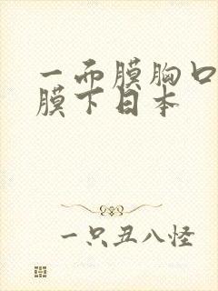 一面膜胸口一面膜下日本