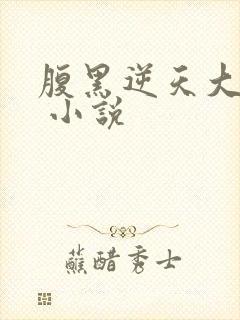 腹黑逆天大小姐 小说