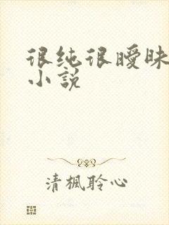 很纯很暧昧有声小说