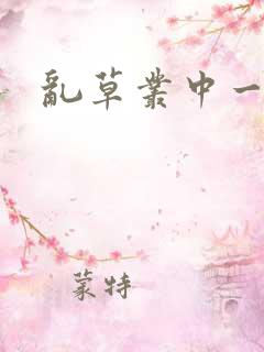 乱草丛中一杆枪