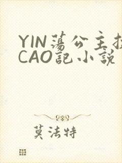 YIN荡公主挨CAO记小说