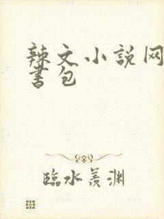 辣文小说网第二书包