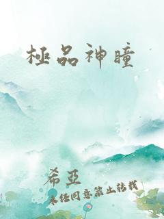 极品神瞳