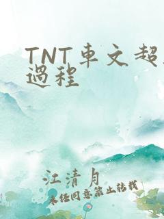 TNT车文超细过程