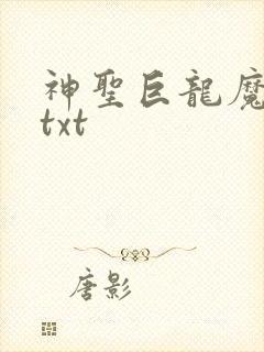 神圣巨龙魔法师txt