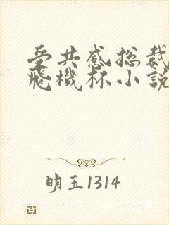 受共感总裁攻的飞机杯小说叫什么