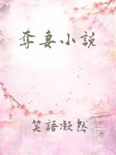 夺妻小说