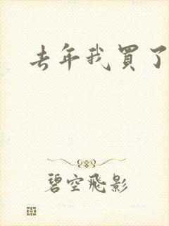 去年我买了个表