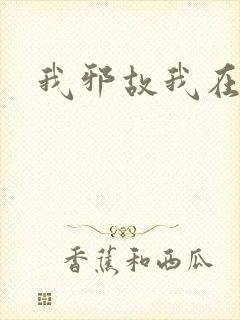 我邪故我在