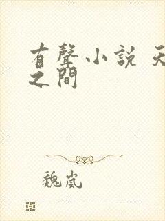 有声小说 天地之间