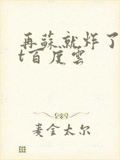 再苏就炸了txt百度云