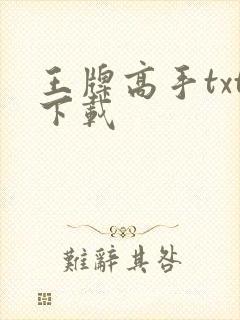 王牌高手txt下载