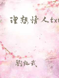 理想情人txt