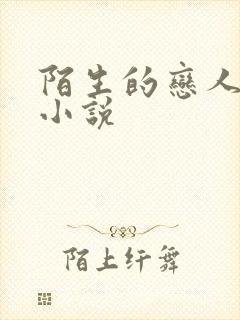 陌生的恋人原著小说