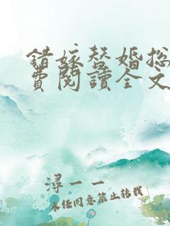 错嫁替婚总裁免费阅读全文