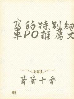 写的特别细的开车PO推荐文多人