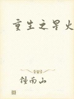 重生之星火燎原