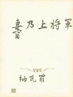 妻乃上将军无弹窗