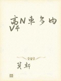 高N车多肉多1V4