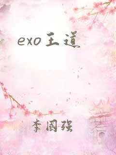 exo王道