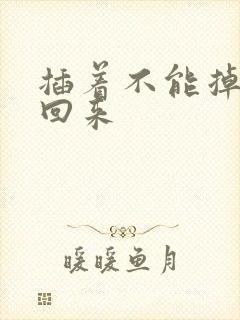 插着不能掉等我回来