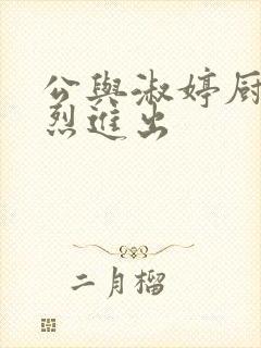 公与淑婷厨房猛烈进出