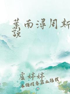 叶南浔周斯年小说