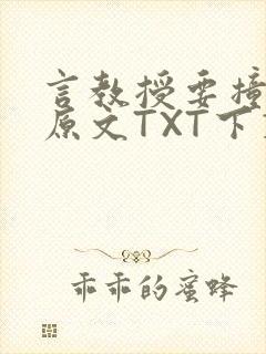 言教授要撞坏了原文TXT下载