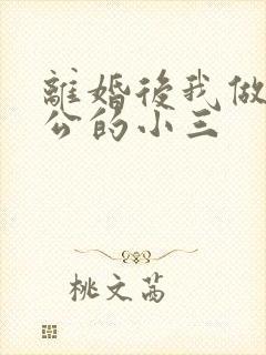 离婚后我做了老公的小三